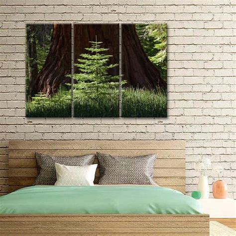Baby Redwood Tree Multi Panel Canvas Wall Art Canvas