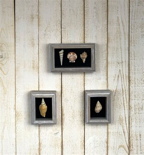Framed Seashells Set Of 3 Seashell Wall Décor Framed Sea Etsy