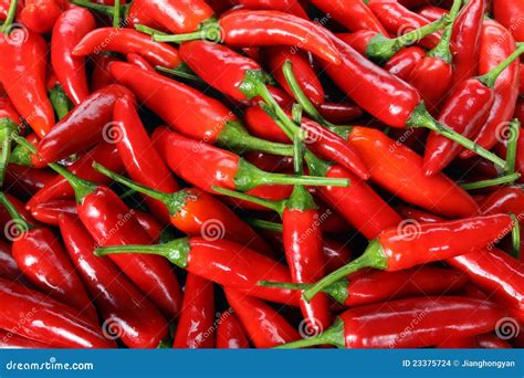 Red Hot Chili Peppers Stock Photo Image Of Food Close 23375724