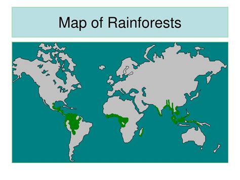 Ppt Rainforests Powerpoint Presentation Free Download Id5667389