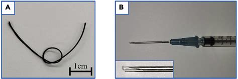 Cell Press Star Protocols