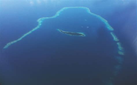 The Namena Marine Reserve Preserving A National Treasure