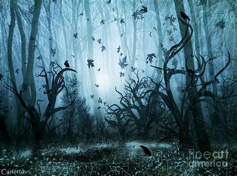 Haunted Forest Digital Art By Carlotta Ceawlin