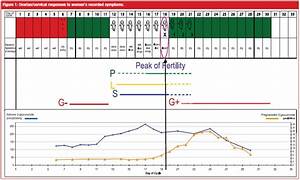 Billings Ovulation Method Natural Family Planning Nfp For Pharmacists