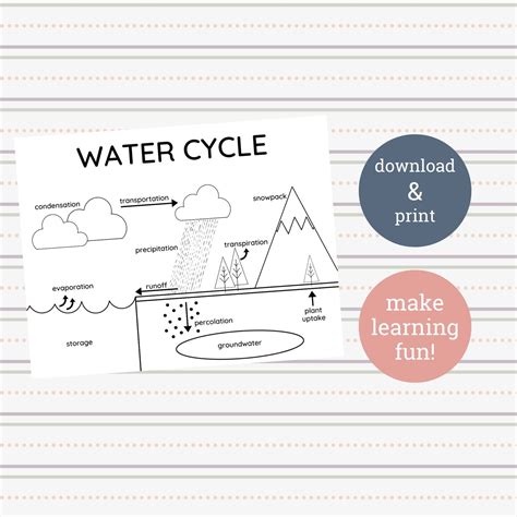 Label the water cycle worksheets watercycle diagram worksheet pdf. Water Cycle Printable Coloring Sheet in 2020 | Printable ...