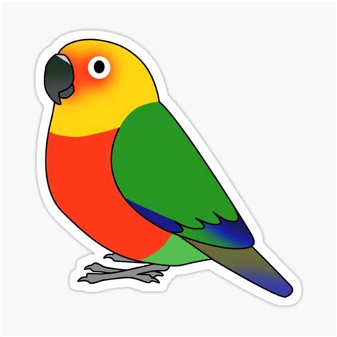 Jenday Conure Parrot Cartoon Drawing Sticker By Lifewithbirds Redbubble