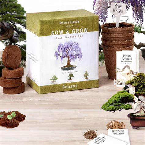 Bonsai Growing Kit Grow 4 Types Of Miniature Trees Set With Seeds