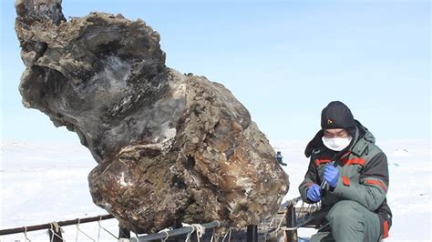 Wooly Mammoth Blood Recovered From Frozen Carcass Russian Scientists