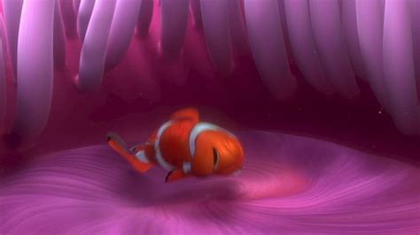 Finding Nemo Finding Nemo Image 3561661 Fanpop