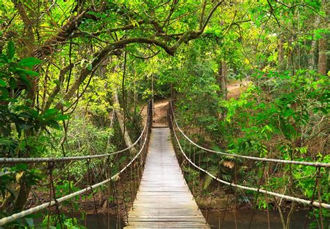 Explorer Le Parc National De Khao Yai Guide Du Visiteur Maho