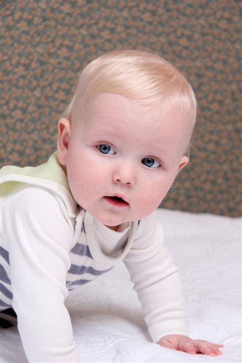 Six Month Old Baby Boy Stock Photo Image Of Attractive 69194390
