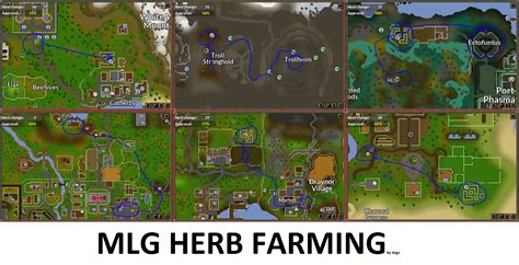 When youre harvesting from the kandarin patch with the elite diary, magic secateurs, the farming skillcape, and the attas seed planted… Low level friend wanted to learn how to get into doing ...