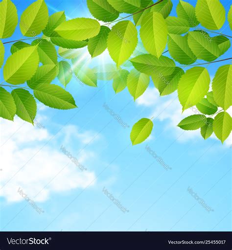 Green Leaves Clouds And Blue Sky Royalty Free Vector Image