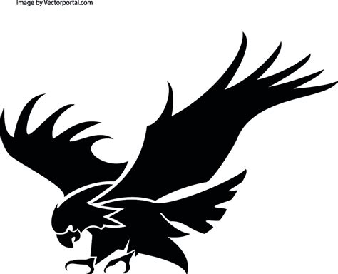 Eagle Attacking Vector Image Freevectors