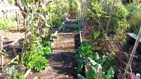The Rusted Vegetable Garden