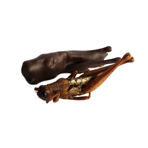 Dark Chocolate Grasshoppers 20g
