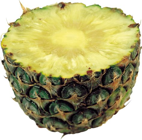 Clipart pineapple pineapple slice, Clipart pineapple pineapple slice Transparent FREE for ...