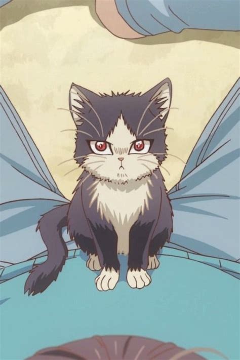 Doukyonin Wa Hiza Is Freaking Cute Anime Shelter Anime Pet Anime