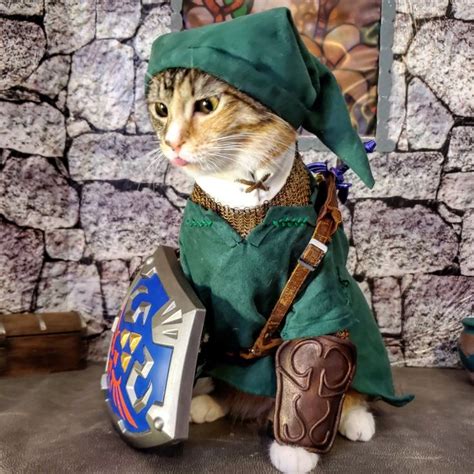 Cat Cosplay On Twitter Funny Animals Cat Cosplay Cute Cats