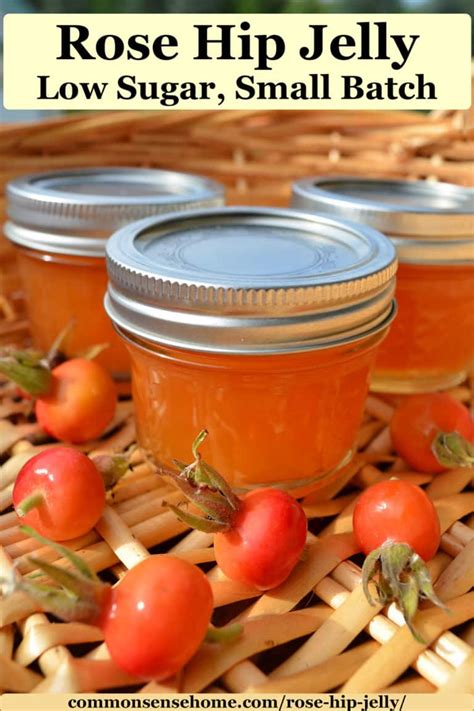 Rose Hip Jelly From Wild Or Garden Roses Low Sugar