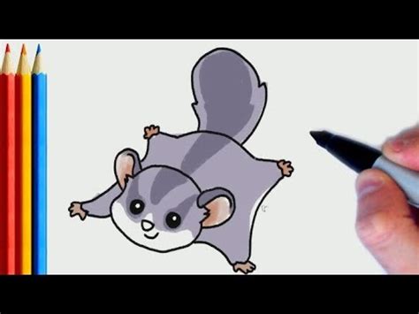 This is a curious sugar glider looking for a tasty snack or adventure. How to Draw Cute Glider Animal | Step by Step Tutorial For ...
