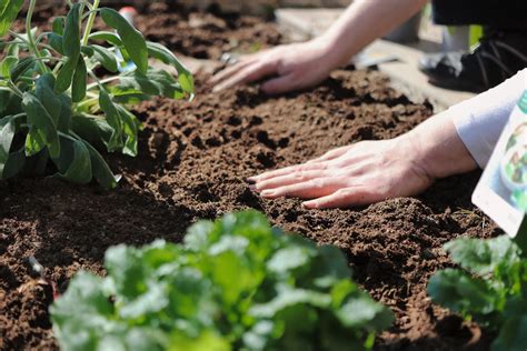 Soil Preparation For Vegetables Flowers And Herbs Gardening Tips