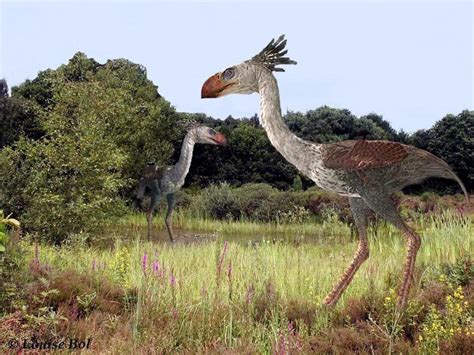 Art Illustration Prehistoric Birds Phorusrhacos Is A Genus Of