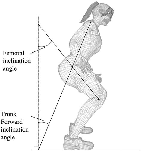 Calculating The Trunk And Lower Limb Posture Download Scientific Diagram
