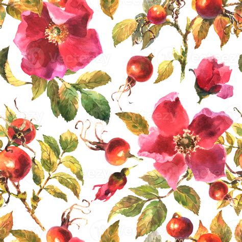Watercolor Illustration Seamless Pattern Of Rose Hips Flowers Leaves