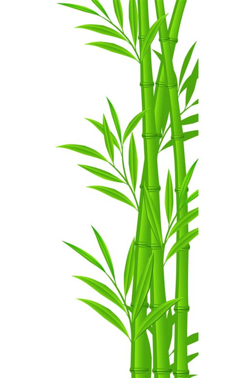 Bamboo Euclidean vector Illustration - bamboo png download - 597*977 - Free Transparent Bamboo ...