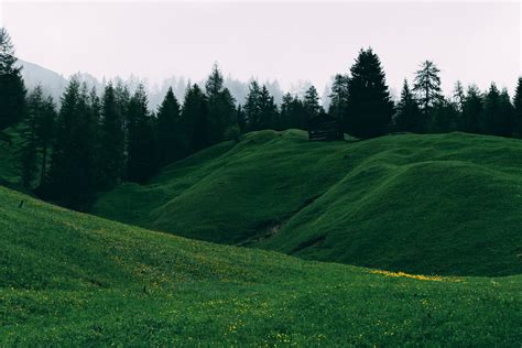 30000 Best Hill Photos · 100 Free Download · Pexels Stock Photos