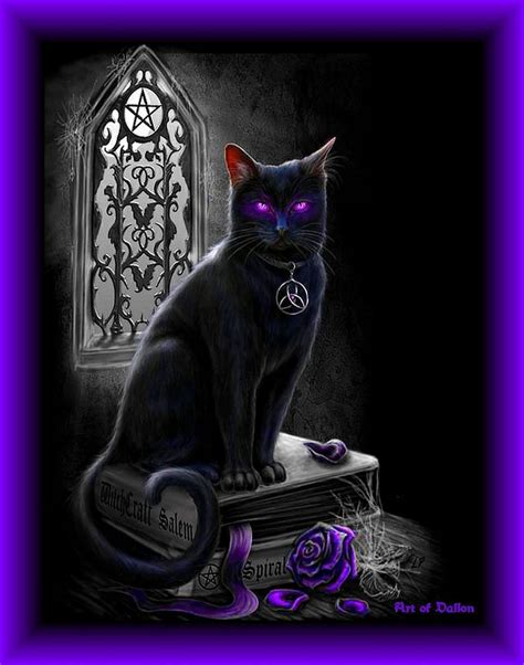 Beautiful Black Witches Witchesblackcat Beautiful 0 Crazy Cat