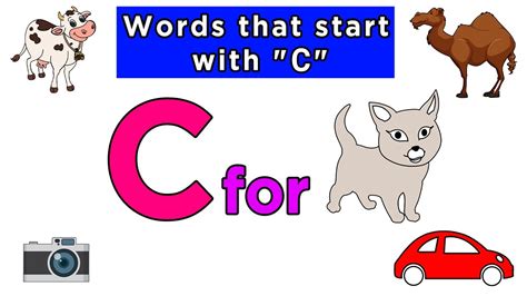 7 Alphabet Words Starting With C Computer Dictionary Definition For