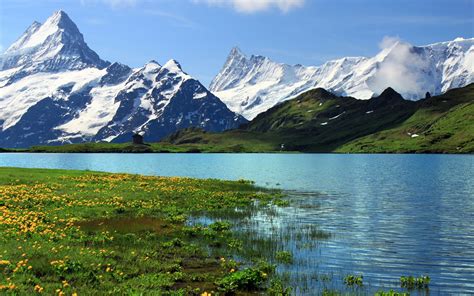 배경 화면 스위스 베른 자연 풍경 눈 덮인 산 강 잔디 꽃 1920x1200 Hd 그림 이미지