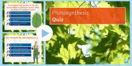 Photosynthesis KS2 Worksheet PDF