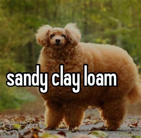 Sandy Clay Loam Mulch Gang For Life Know Your Meme