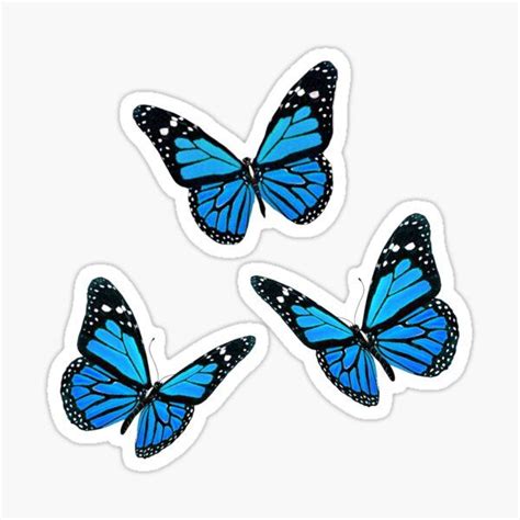 Butterfly images butterfly kisses monarch butterfly blue butterfly moth caterpillar blue pictures blue ombre beautiful butterflies my favorite color. Blue monarch butterfly sticker pack in 2020 | Cute stickers, Printable stickers, Bullet journal ...