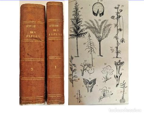Año 1854 Estudio De Las Flores 2 Tomos Ilustr Vendido En Subasta