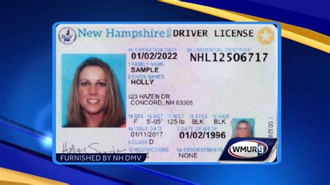 Real Id New Florida Drivers License Design