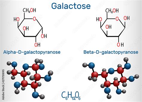 Plakat Galactose Alpha D Galactopyranose Beta D Galactopyranose Milk