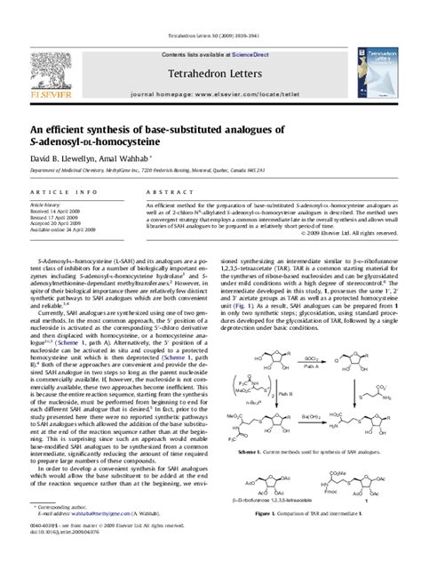 pdf an efficient synthesis of base substituted analogues of s adenosyl dl homocysteine amal