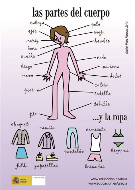 Las Partes Del Cuerpo El Cuerpo Pinterest