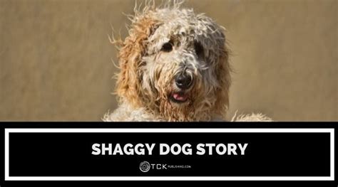 The Shaggy Dog Story Subverting The Punchline Tck Publishing