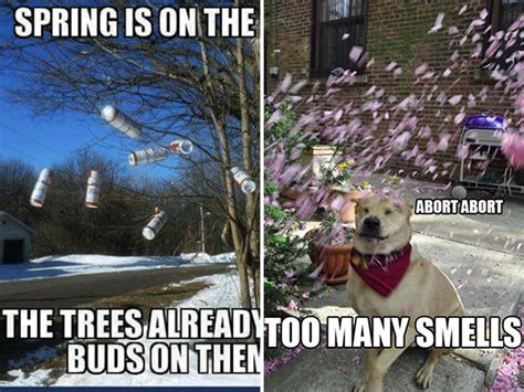Spring Memes For Anyone That Is Totally Over Winter