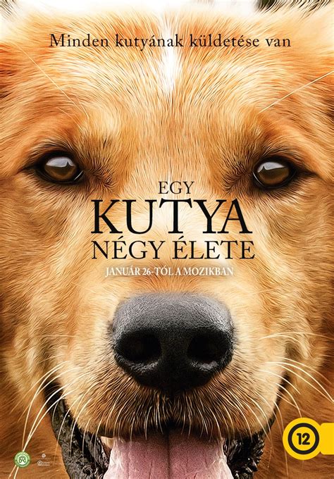 Egy kutya négy útja teljes film magyarul online és letöltés 2019. Egy kutya négy élete (2017) | Teljes film adatlapja | Mafab.hu