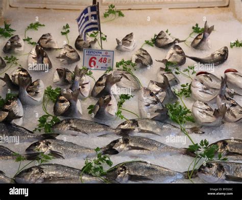 Fish On Sale At Athens Central Fish Market Athinas Street Athens