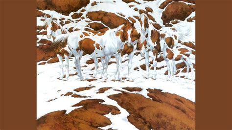 Hidden Animal Optical Illusion Can You Spot 5 Horses In The Snow