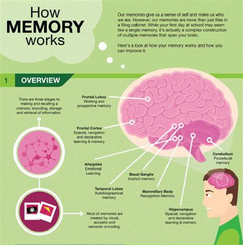 Here Are 9 Easy Tips Thatll Help You Improve Your Memory