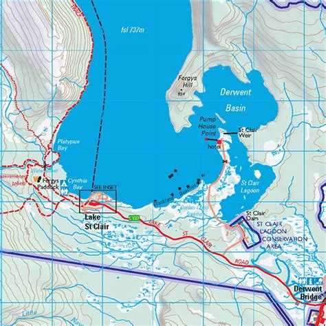 Lake St Clair Day Walks Tasmania Map And Notes Tasmap