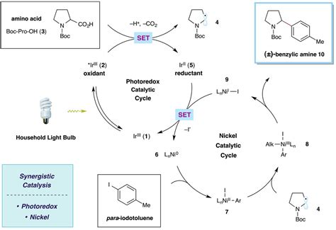 Merging Photoredox With Nickel Catalysis Coupling Of Carboxyl Sp